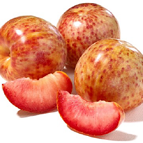Dapple Dandy plumcots with speckled red-and-yellow skin, photographed by grower Family Tree Farms