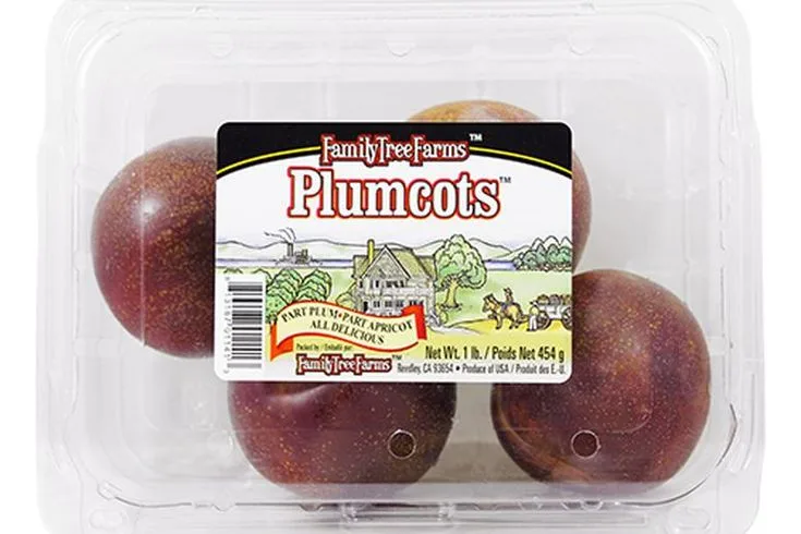 Trader Joe's Plumcots one-pound pack from the current product catalog